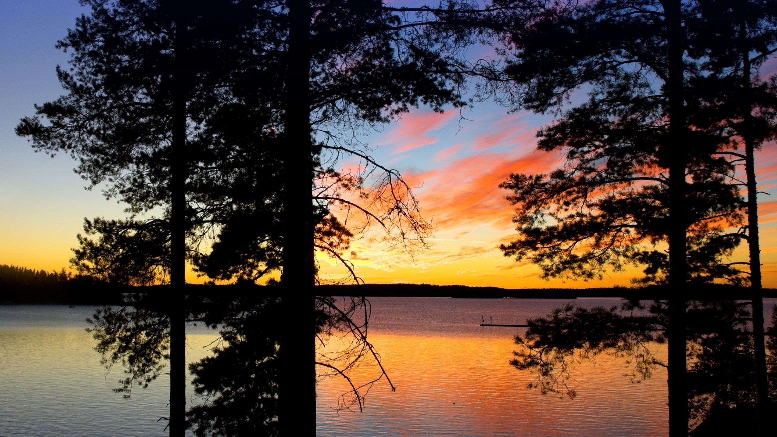 Bemidji Marketing Digital Marketing